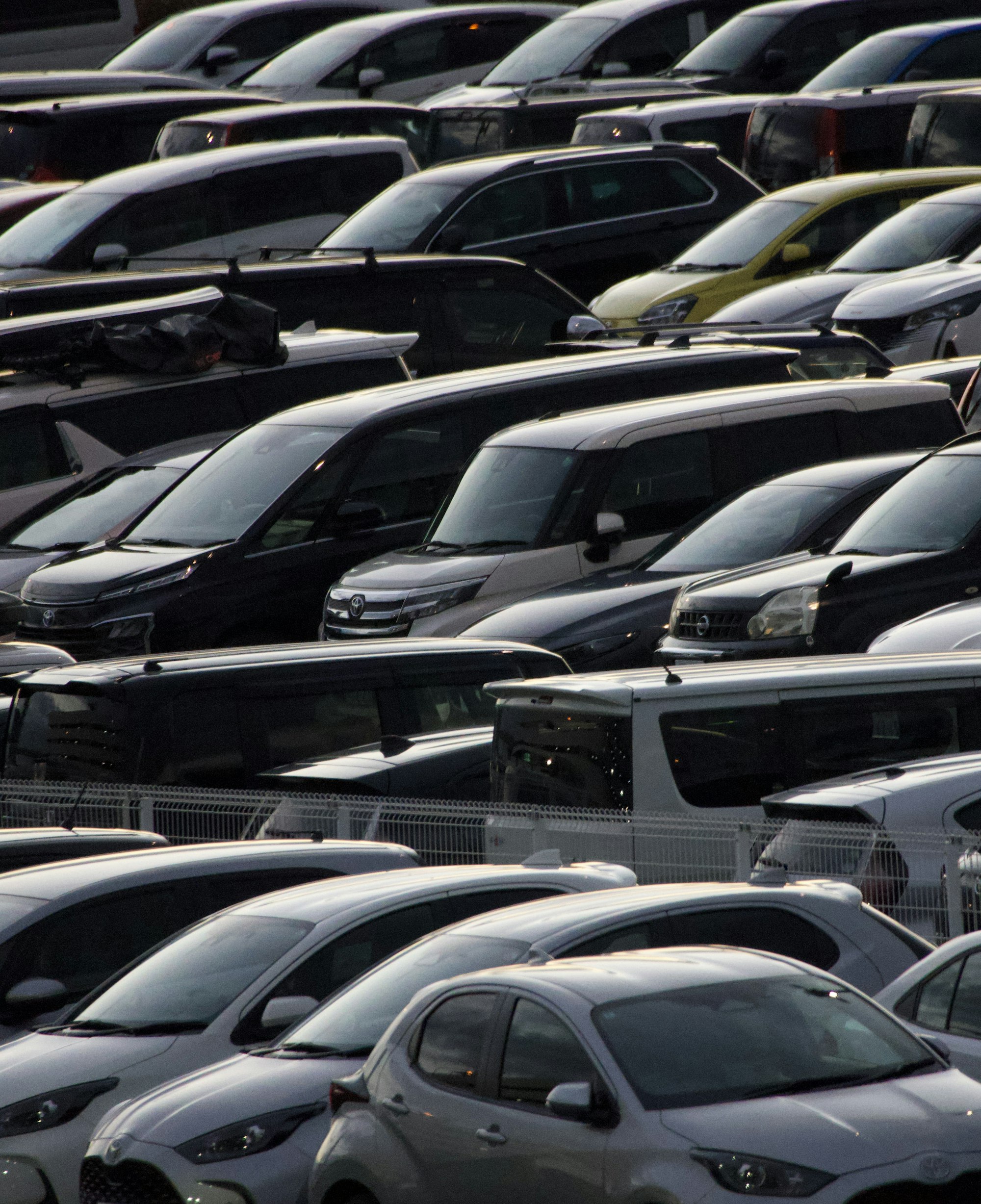 Rows of used trucks, SUVs and vans on the IP Auto Motor Group dealership lot
